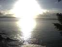 ./images/koeye/fitz-hugh/20210301/fitz-hugh20210301_170501.jpg