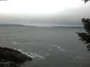./images/koeye/fitz-hugh/20210302/fitz-hugh20210302_080002.jpg