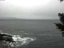 ./images/koeye/fitz-hugh/20210302/fitz-hugh20210302_120001.jpg
