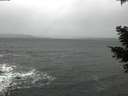 ./images/koeye/fitz-hugh/20210302/fitz-hugh20210302_140002.jpg