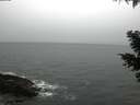 ./images/koeye/fitz-hugh/20210303/fitz-hugh20210303_080001.jpg