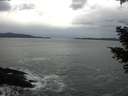 ./images/koeye/fitz-hugh/20210304/fitz-hugh20210304_122001.jpg
