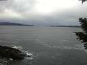 ./images/koeye/fitz-hugh/20210304/fitz-hugh20210304_123001.jpg