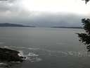 ./images/koeye/fitz-hugh/20210304/fitz-hugh20210304_123501.jpg