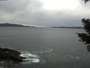 ./images/koeye/fitz-hugh/20210304/fitz-hugh20210304_124501.jpg