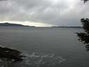 ./images/koeye/fitz-hugh/20210304/fitz-hugh20210304_125001.jpg