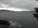 ./images/koeye/fitz-hugh/20210304/fitz-hugh20210304_125501.jpg
