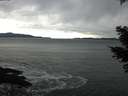 ./images/koeye/fitz-hugh/20210304/fitz-hugh20210304_130501.jpg
