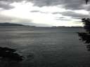 ./images/koeye/fitz-hugh/20210304/fitz-hugh20210304_132001.jpg