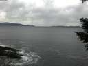 ./images/koeye/fitz-hugh/20210304/fitz-hugh20210304_134001.jpg