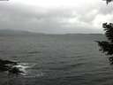 ./images/koeye/fitz-hugh/20210304/fitz-hugh20210304_140501.jpg