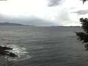 ./images/koeye/fitz-hugh/20210304/fitz-hugh20210304_142501.jpg
