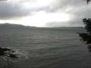 ./images/koeye/fitz-hugh/20210304/fitz-hugh20210304_144502.jpg