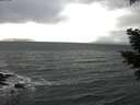 ./images/koeye/fitz-hugh/20210304/fitz-hugh20210304_151002.jpg