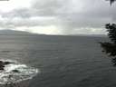 ./images/koeye/fitz-hugh/20210304/fitz-hugh20210304_153501.jpg