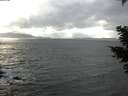 ./images/koeye/fitz-hugh/20210304/fitz-hugh20210304_154001.jpg