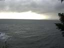 ./images/koeye/fitz-hugh/20210304/fitz-hugh20210304_163501.jpg
