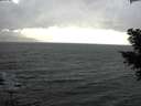 ./images/koeye/fitz-hugh/20210304/fitz-hugh20210304_164001.jpg