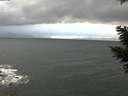 ./images/koeye/fitz-hugh/20210304/fitz-hugh20210304_170501.jpg