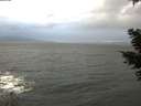 ./images/koeye/fitz-hugh/20210304/fitz-hugh20210304_171001.jpg