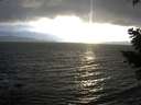 ./images/koeye/fitz-hugh/20210304/fitz-hugh20210304_175502.jpg