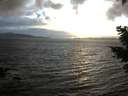 ./images/koeye/fitz-hugh/20210304/fitz-hugh20210304_180002.jpg