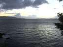 ./images/koeye/fitz-hugh/20210304/fitz-hugh20210304_183502.jpg