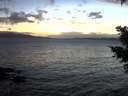 ./images/koeye/fitz-hugh/20210304/fitz-hugh20210304_185501.jpg