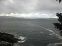 ./images/koeye/fitz-hugh/20210305/fitz-hugh20210305_112501.jpg