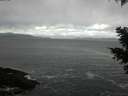 ./images/koeye/fitz-hugh/20210305/fitz-hugh20210305_113001.jpg