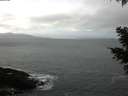 ./images/koeye/fitz-hugh/20210305/fitz-hugh20210305_114001.jpg