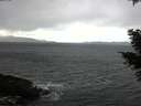 ./images/koeye/fitz-hugh/20210305/fitz-hugh20210305_124502.jpg
