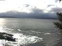 ./images/koeye/fitz-hugh/20210305/fitz-hugh20210305_143001.jpg