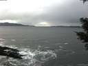 ./images/koeye/fitz-hugh/20210305/fitz-hugh20210305_144501.jpg