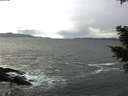 ./images/koeye/fitz-hugh/20210305/fitz-hugh20210305_145001.jpg