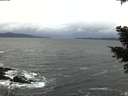 ./images/koeye/fitz-hugh/20210305/fitz-hugh20210305_153002.jpg
