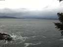 ./images/koeye/fitz-hugh/20210305/fitz-hugh20210305_154502.jpg