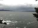 ./images/koeye/fitz-hugh/20210305/fitz-hugh20210305_155002.jpg