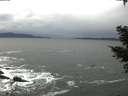 ./images/koeye/fitz-hugh/20210305/fitz-hugh20210305_160002.jpg