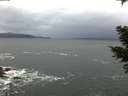 ./images/koeye/fitz-hugh/20210305/fitz-hugh20210305_175001.jpg