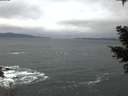 ./images/koeye/fitz-hugh/20210305/fitz-hugh20210305_175501.jpg