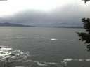 ./images/koeye/fitz-hugh/20210305/fitz-hugh20210305_183002.jpg