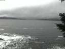 ./images/koeye/fitz-hugh/20210305/fitz-hugh20210305_185002.jpg