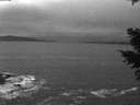 ./images/koeye/fitz-hugh/20210305/fitz-hugh20210305_185502.jpg