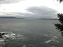 ./images/koeye/fitz-hugh/20210306/fitz-hugh20210306_080001.jpg