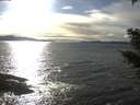 ./images/koeye/fitz-hugh/20210306/fitz-hugh20210306_160002.jpg