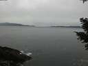 ./images/koeye/fitz-hugh/20210308/fitz-hugh20210308_160001.jpg