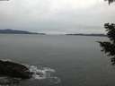 ./images/koeye/fitz-hugh/20210308/fitz-hugh20210308_180002.jpg