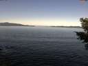 ./images/koeye/fitz-hugh/20210310/fitz-hugh20210310_100001.jpg