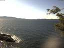 ./images/koeye/fitz-hugh/20210310/fitz-hugh20210310_140001.jpg